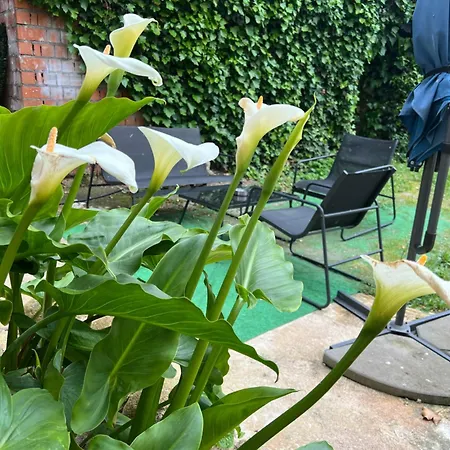 La De Alanah Candeleda