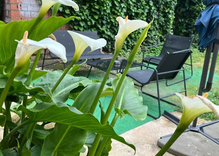 La De Alanah 칸델레다